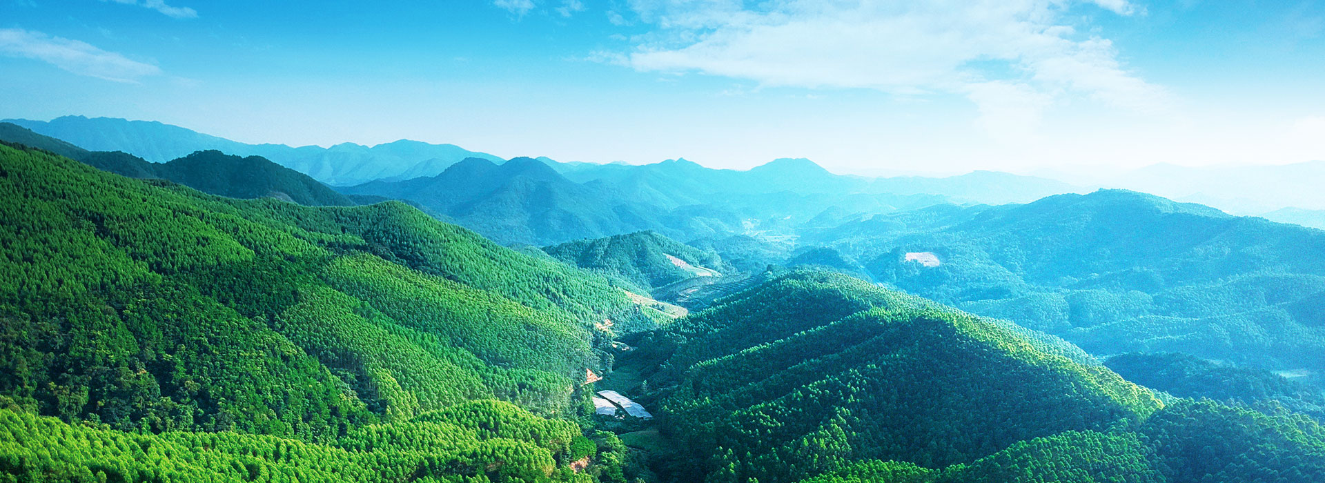 78m威九国际(集团)中国区有限公司-BinG百科