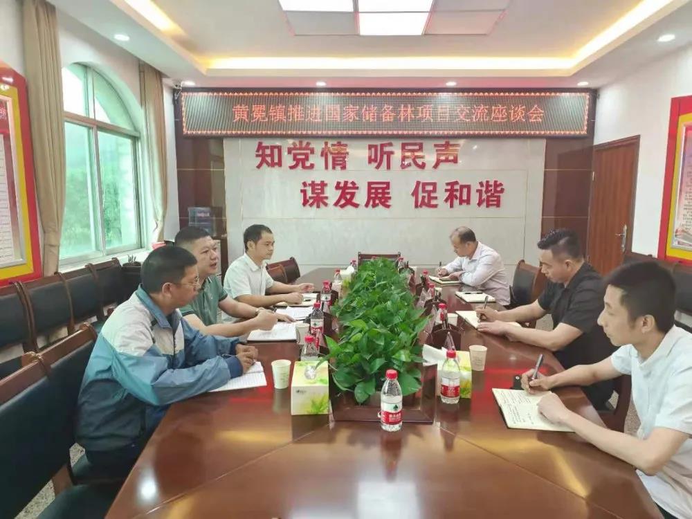 谢春俊到鹿寨县各乡镇调研国储林项目建设工作