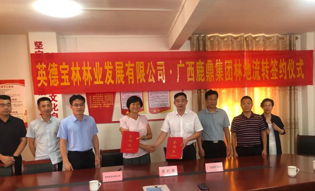 78m威九国际集团与宝林公司签定9100亩林地林木流转和谈