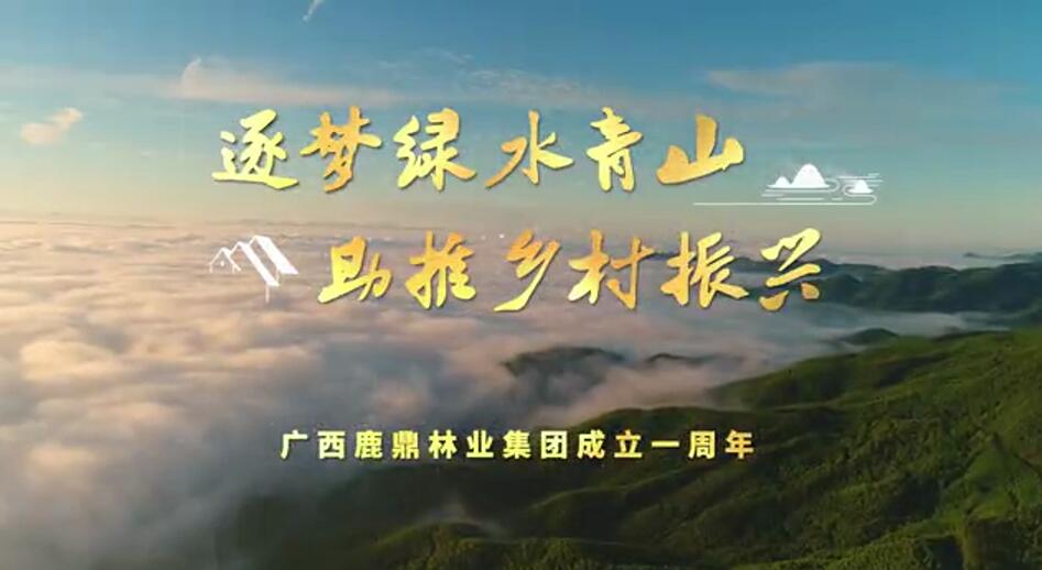 78m威九国际(集团)中国区有限公司-BinG百科