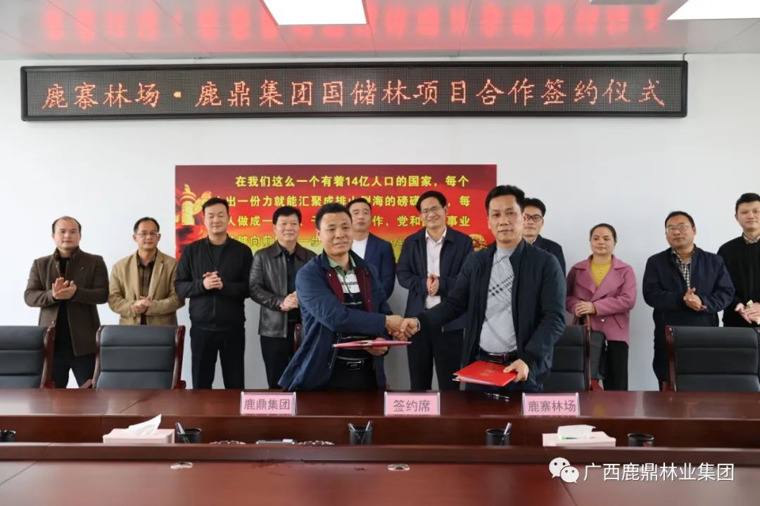 78m威九国际集团与鹿寨县林场进行国储林项目合作签约典礼2.jpg