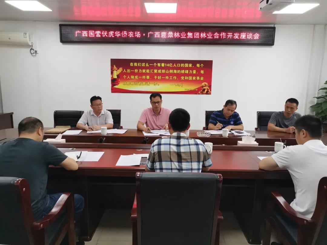 柳城伏虎华侨农场到集团发展农林合作座谈会1.jpg
