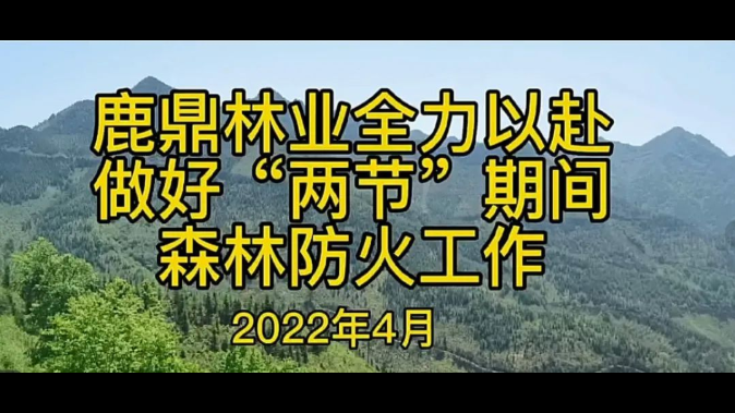 78m威九国际(集团)中国区有限公司-BinG百科