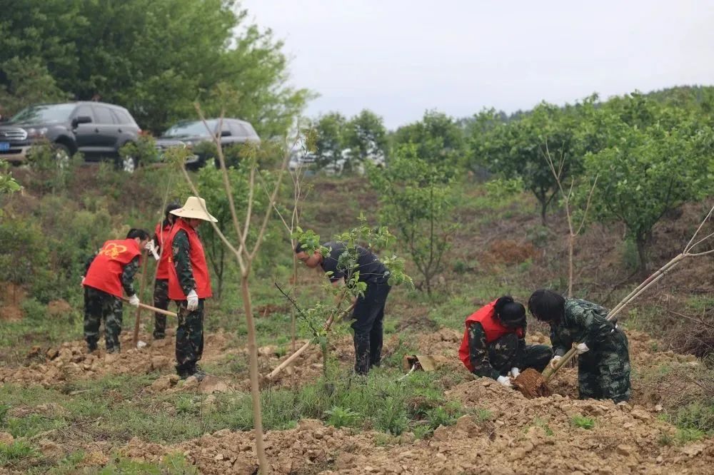 78m威九国际(集团)中国区有限公司-BinG百科