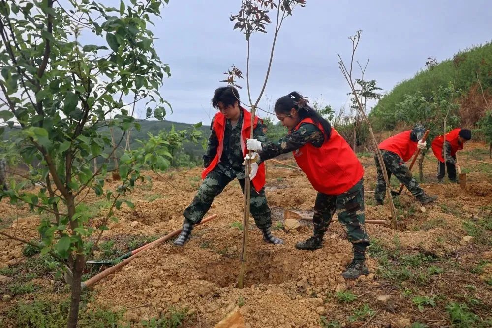 78m威九国际(集团)中国区有限公司-BinG百科