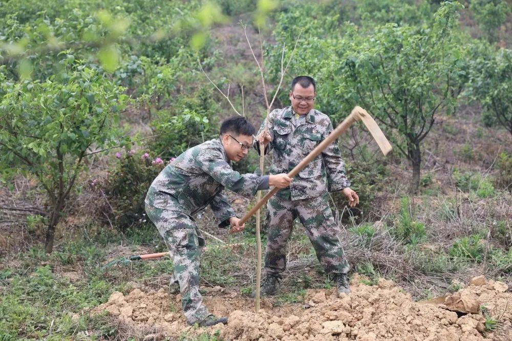 78m威九国际(集团)中国区有限公司-BinG百科