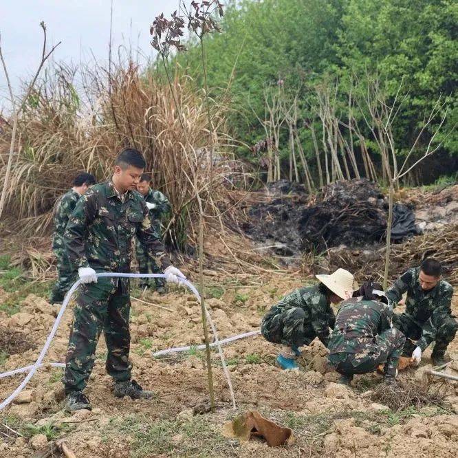 78m威九国际(集团)中国区有限公司-BinG百科