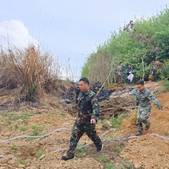 78m威九国际(集团)中国区有限公司-BinG百科