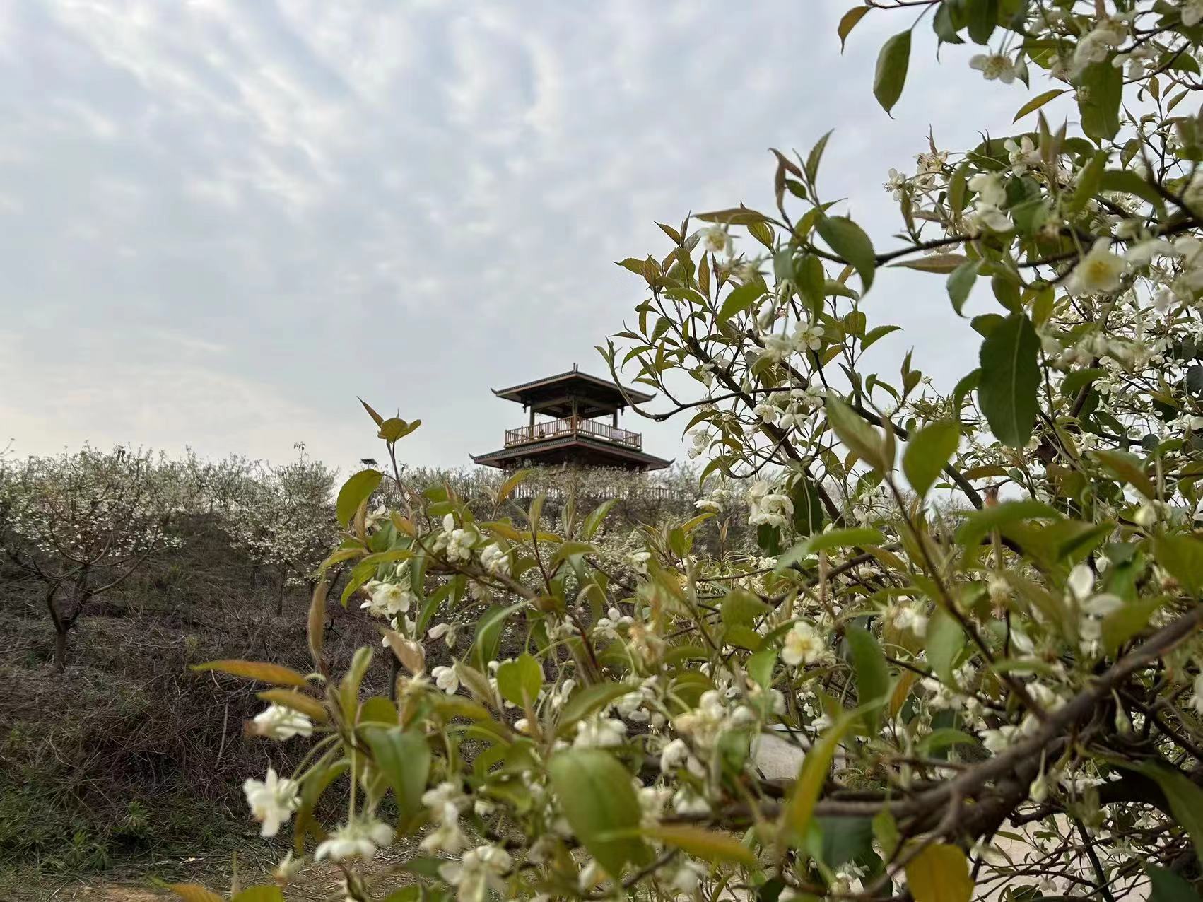 78m威九国际(集团)中国区有限公司-BinG百科