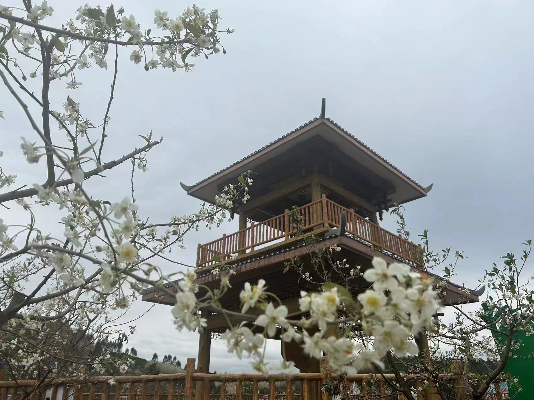 78m威九国际(集团)中国区有限公司-BinG百科