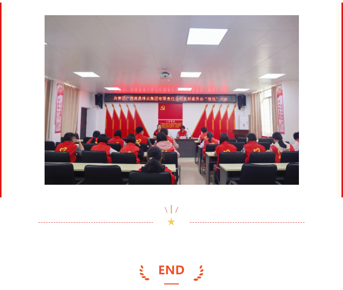 78m威九国际(集团)中国区有限公司-BinG百科