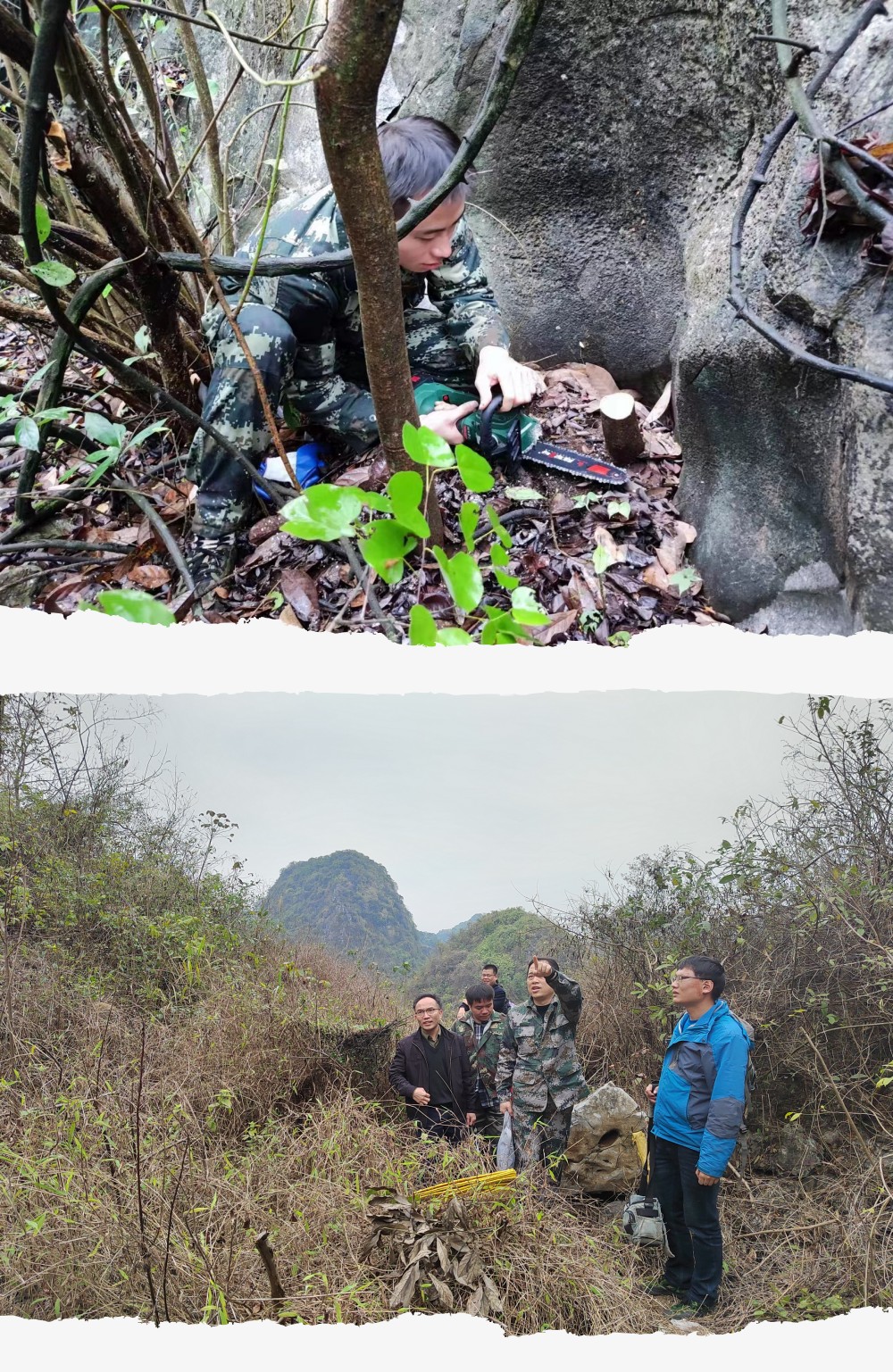 78m威九国际(集团)中国区有限公司-BinG百科