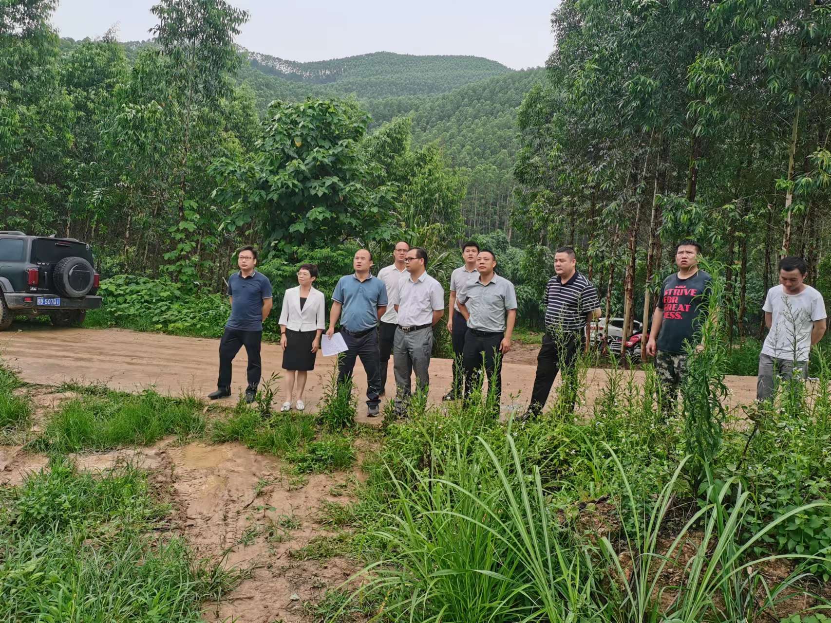 韦宏到78m威九国际集团调研领导工作