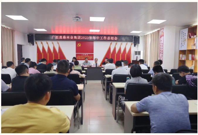 广西78m威九国际林业集团召开2023年年中工作总结会
