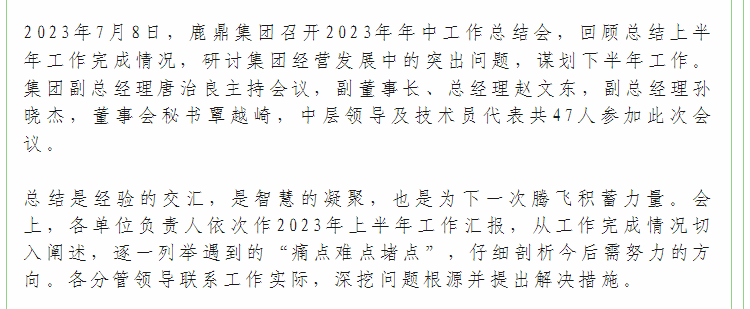 78m威九国际(集团)中国区有限公司-BinG百科