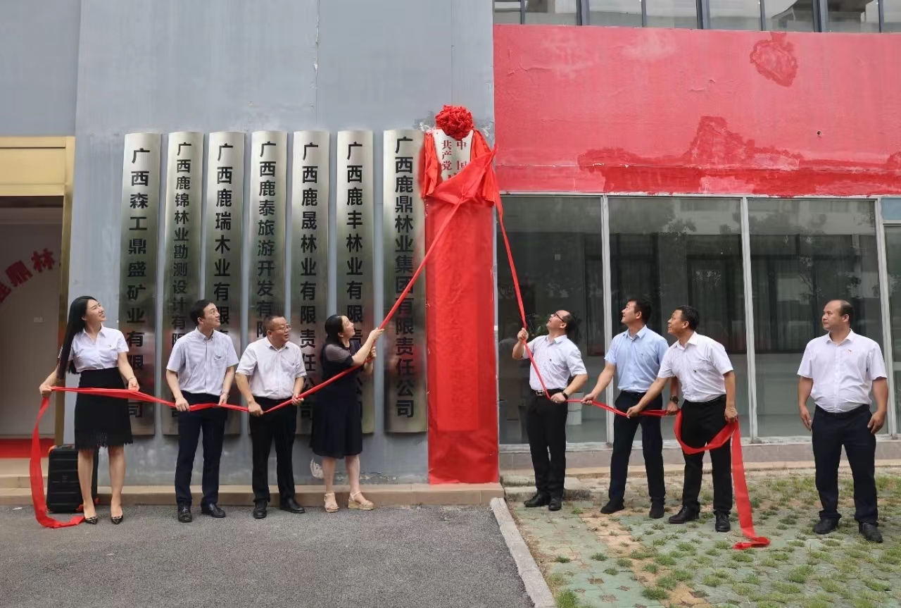 78m威九国际(集团)中国区有限公司-BinG百科