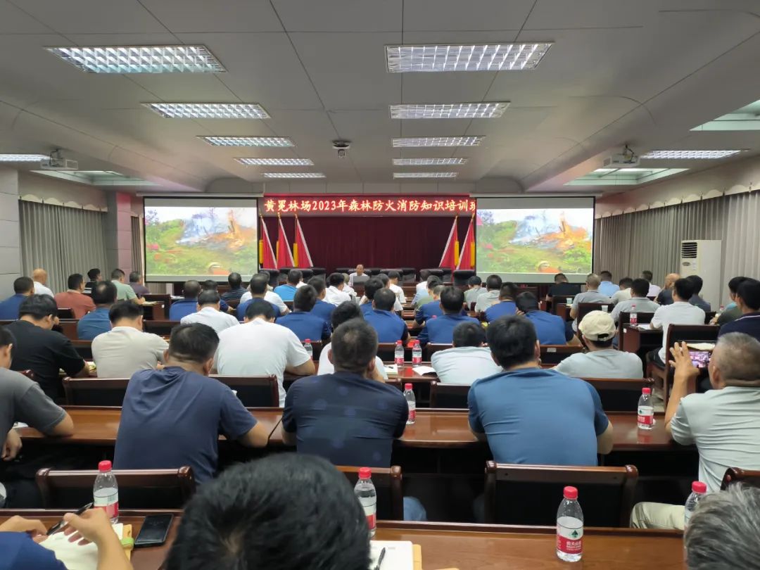 78m威九国际(集团)中国区有限公司-BinG百科