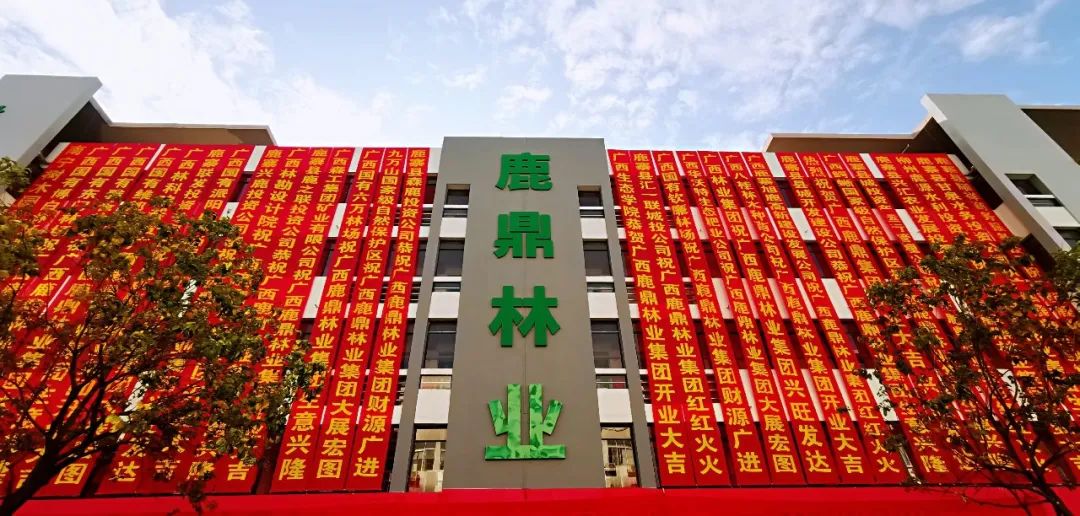 78m威九国际林业集团2024年新年贺词