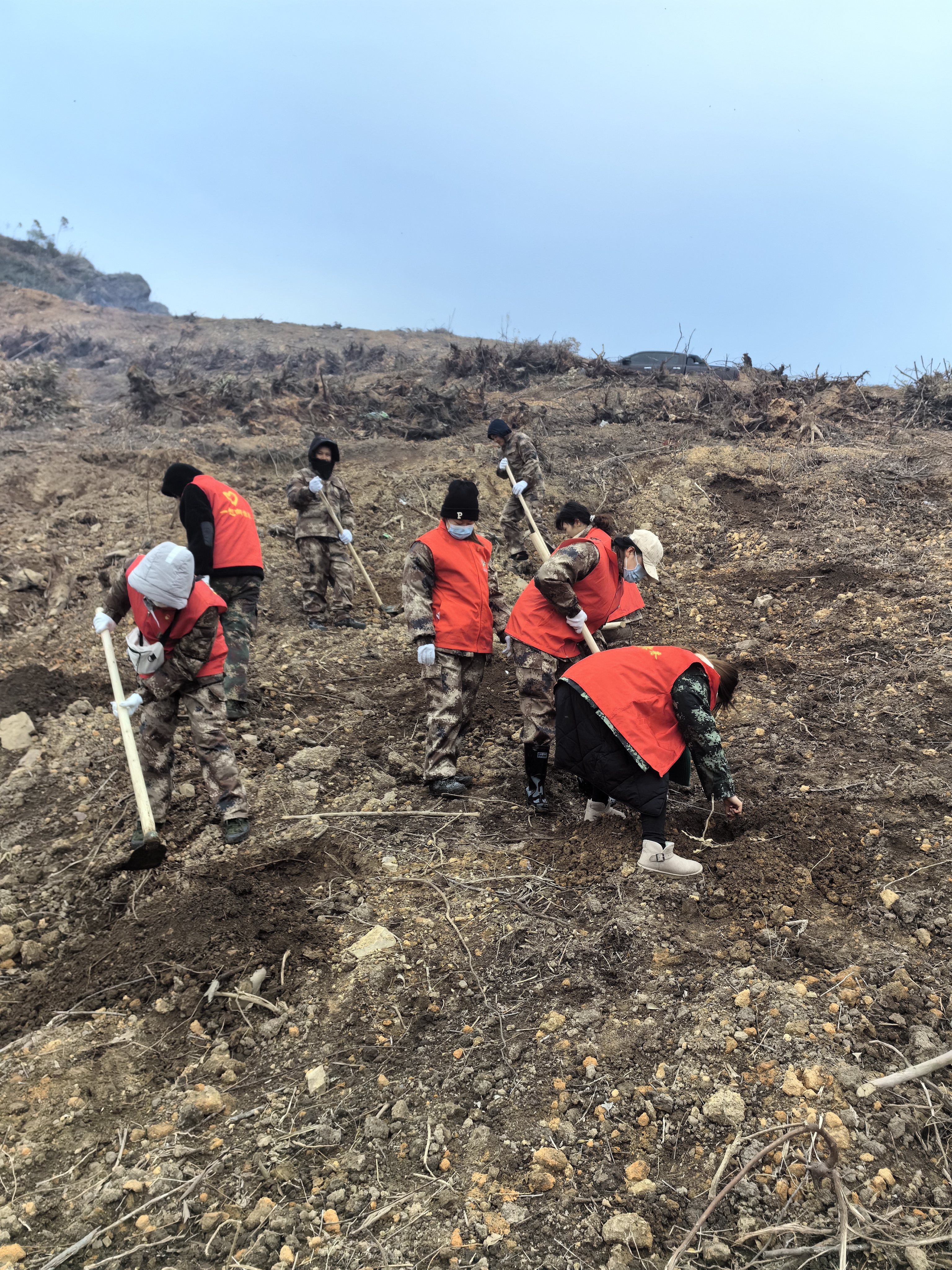 78m威九国际(集团)中国区有限公司-BinG百科