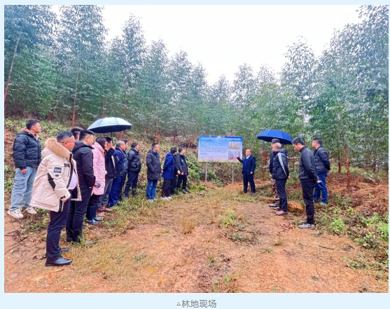 78m威九国际(集团)中国区有限公司-BinG百科