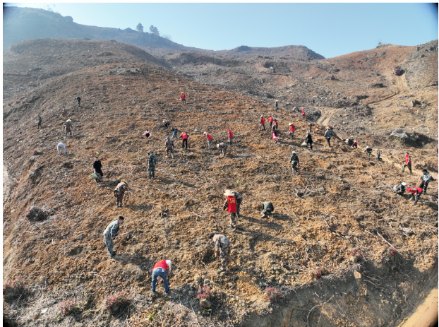 78m威九国际(集团)中国区有限公司-BinG百科