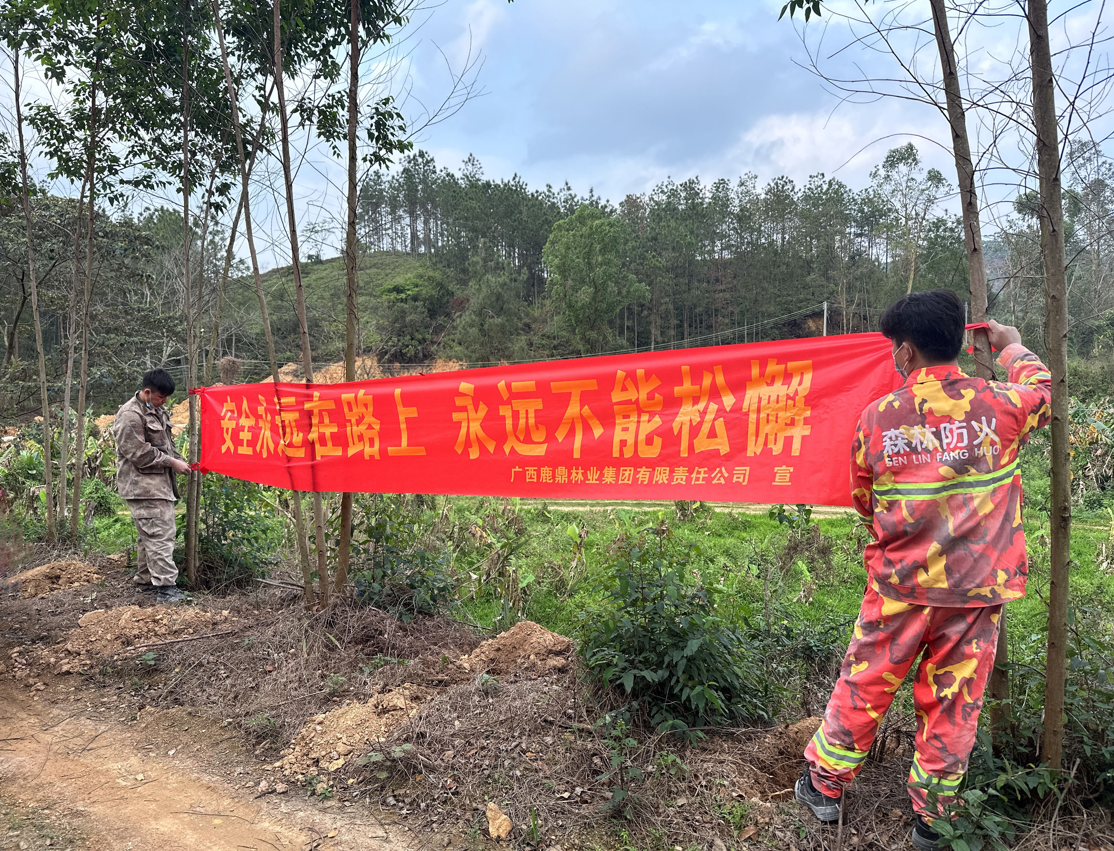 枕戈待旦，守护绿色安然梦