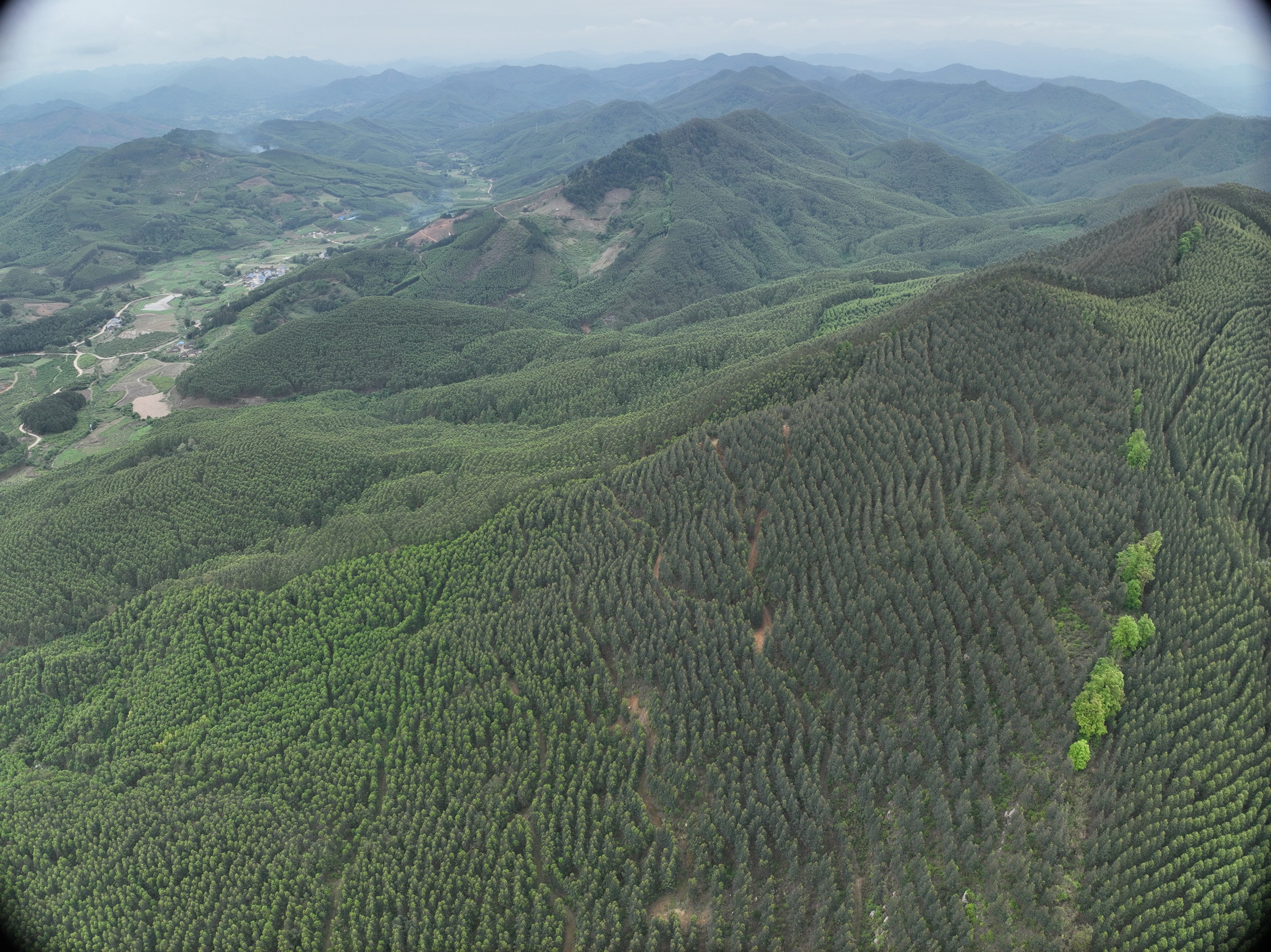五一劳动节，为这群人点赞！