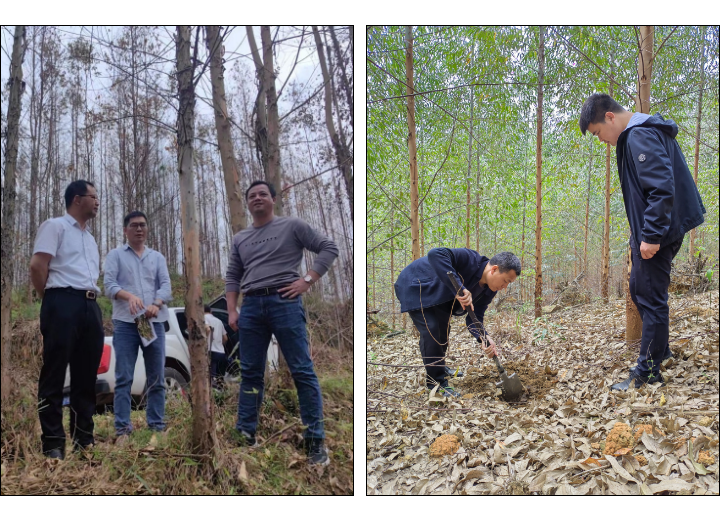 78m威九国际(集团)中国区有限公司-BinG百科