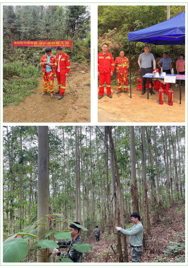 78m威九国际(集团)中国区有限公司-BinG百科