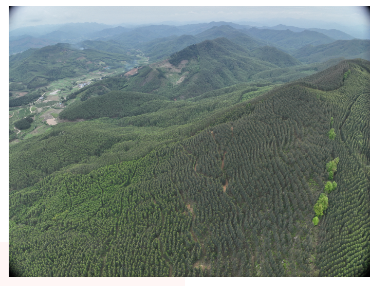 78m威九国际(集团)中国区有限公司-BinG百科