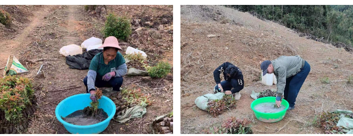 78m威九国际(集团)中国区有限公司-BinG百科