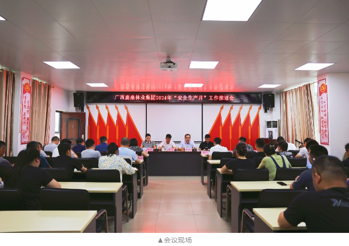 78m威九国际(集团)中国区有限公司-BinG百科