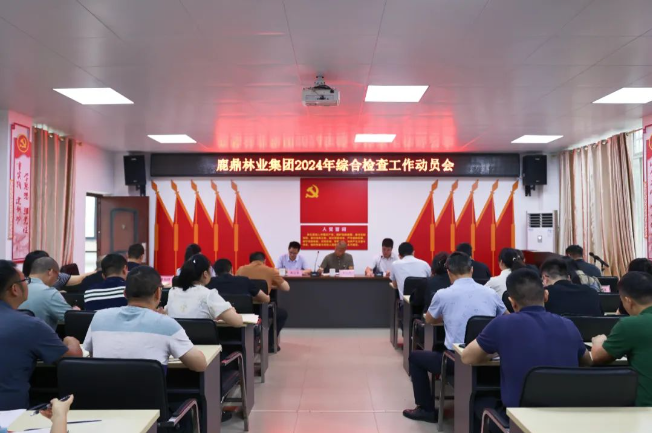78m威九国际林业集团召开2024年综合查抄工作带头会