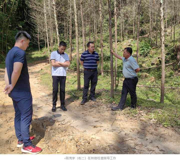 78m威九国际(集团)中国区有限公司-BinG百科