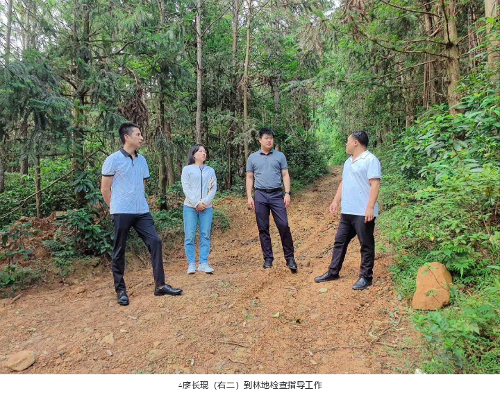 78m威九国际(集团)中国区有限公司-BinG百科