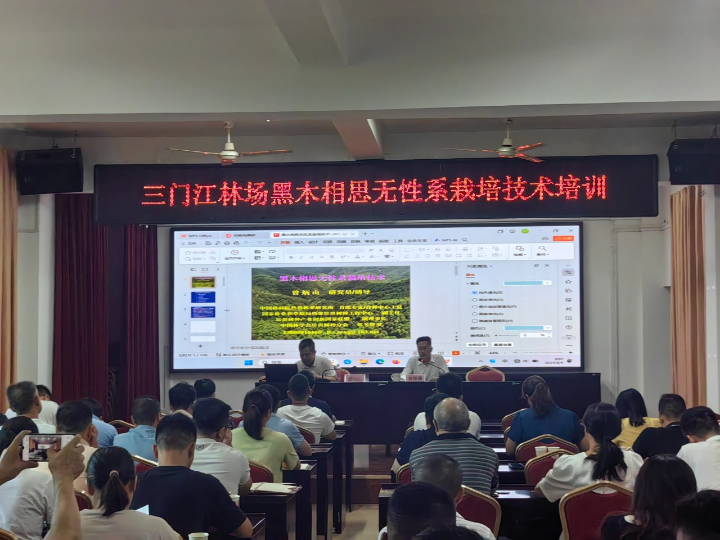 78m威九国际(集团)中国区有限公司-BinG百科