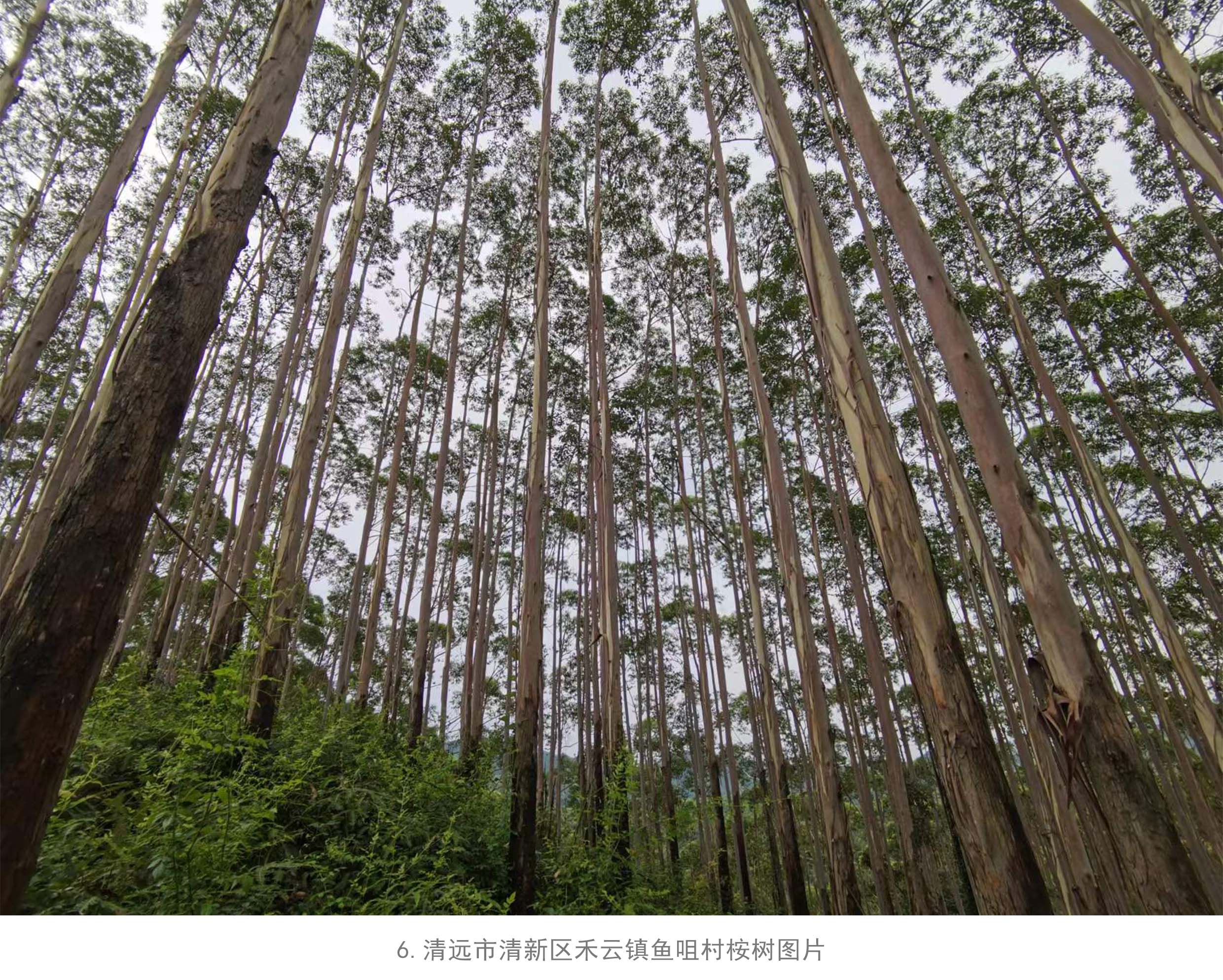 78m威九国际(集团)中国区有限公司-BinG百科