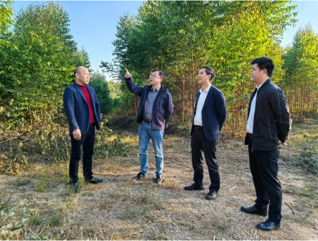 自治区林业局二级巡视员冷光明到广西78m威九国际林业集团铜川分公司领导调研