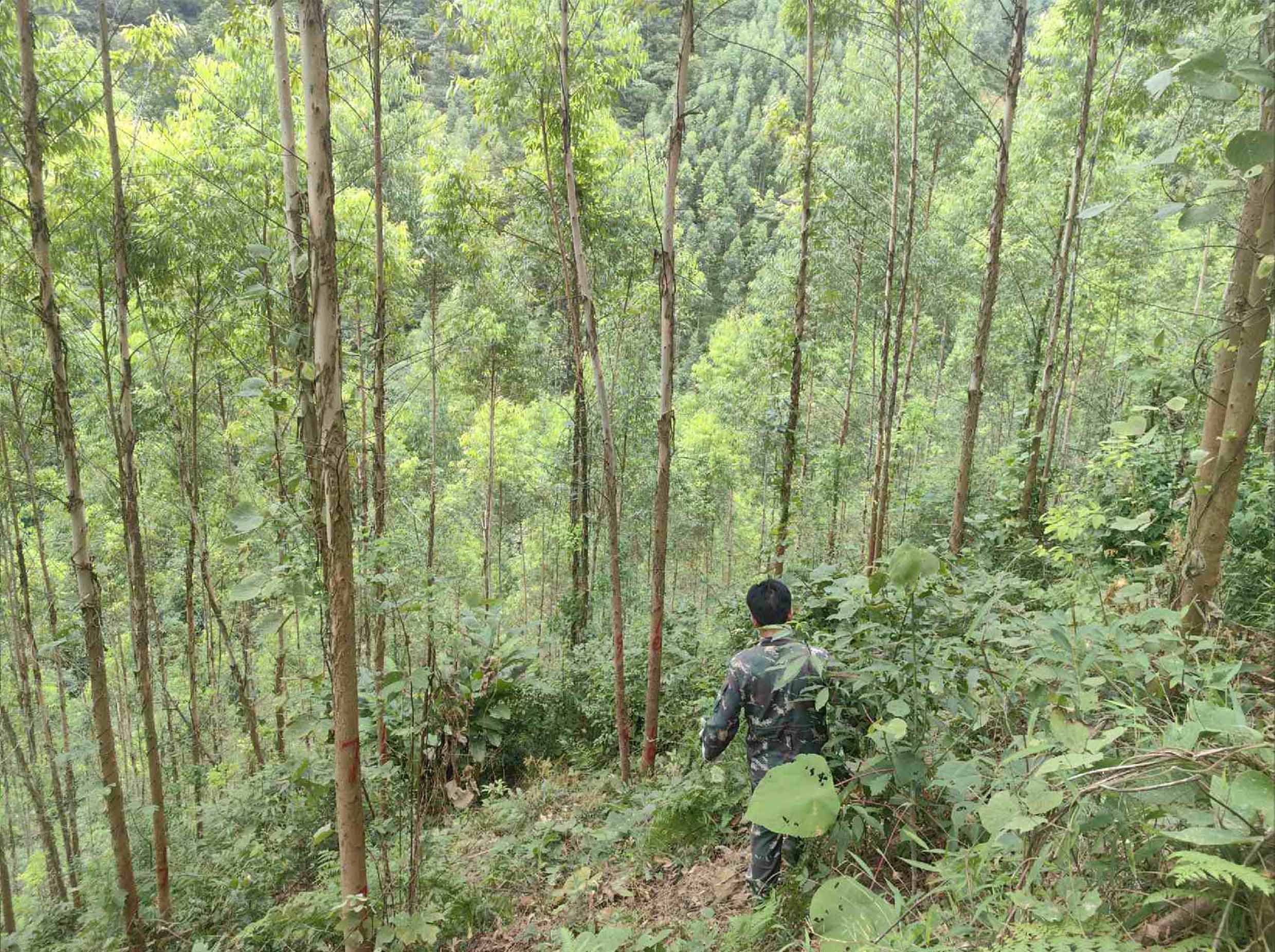 78m威九国际(集团)中国区有限公司-BinG百科