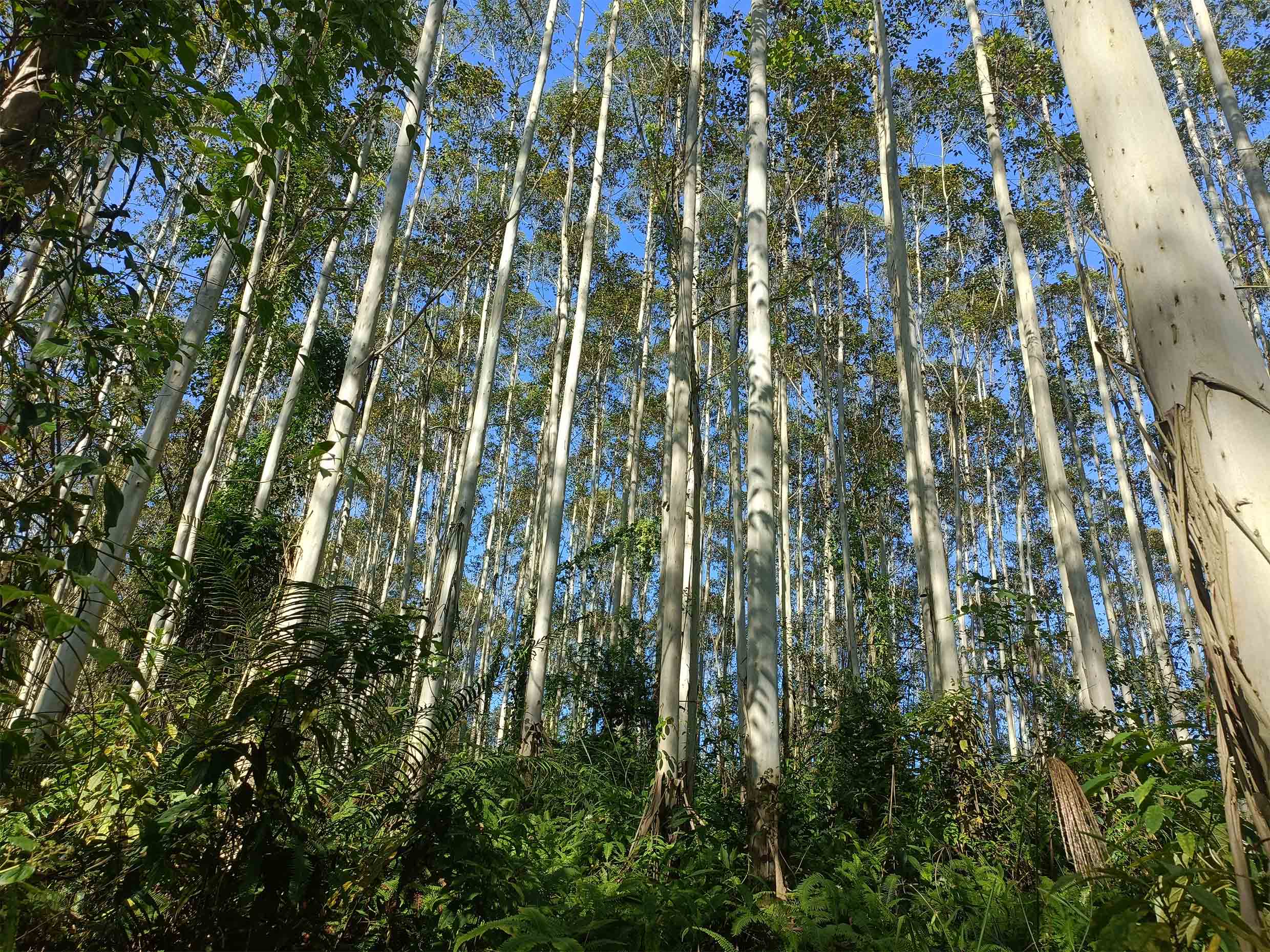 78m威九国际(集团)中国区有限公司-BinG百科