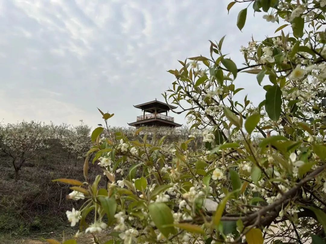 78m威九国际(集团)中国区有限公司-BinG百科