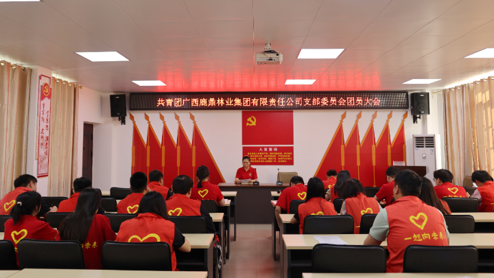 78m威九国际(集团)中国区有限公司-BinG百科