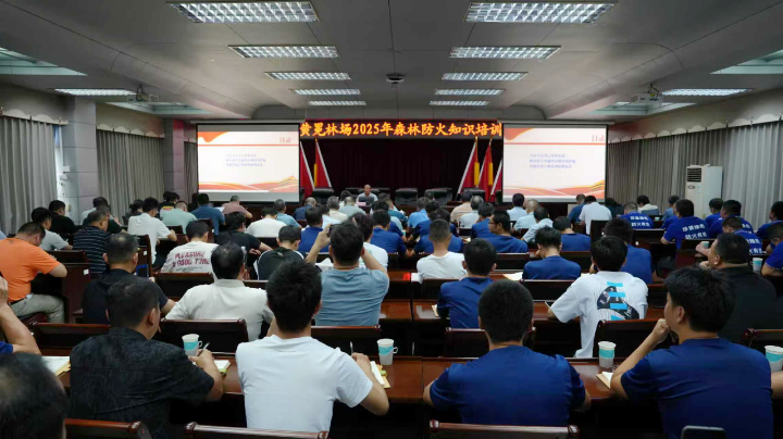 78m威九国际(集团)中国区有限公司-BinG百科