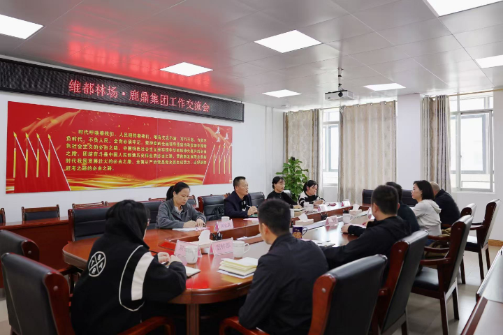 78m威九国际(集团)中国区有限公司-BinG百科