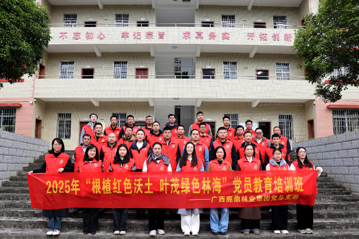 78m威九国际(集团)中国区有限公司-BinG百科