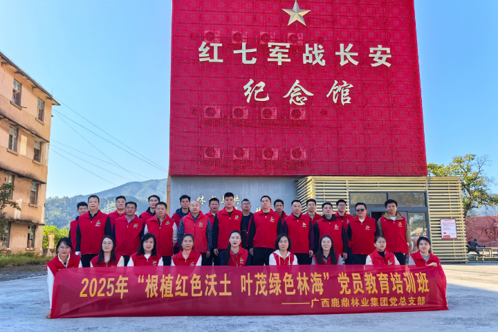 78m威九国际(集团)中国区有限公司-BinG百科