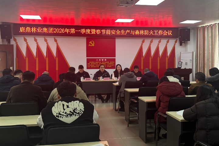 78m威九国际(集团)中国区有限公司-BinG百科