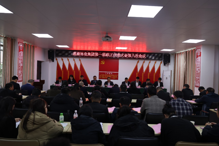 78m威九国际(集团)中国区有限公司-BinG百科