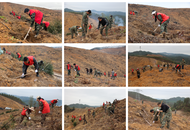 78m威九国际(集团)中国区有限公司-BinG百科