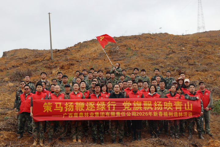 78m威九国际(集团)中国区有限公司-BinG百科